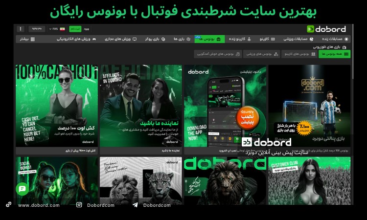 بونوس های دوبرد