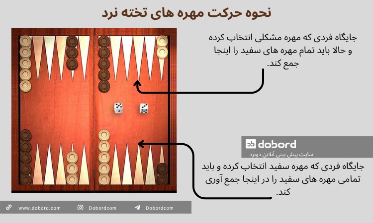 نحوه حرکت مهره های تخته نرد